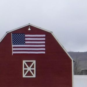 Meet your Posher, Vickie